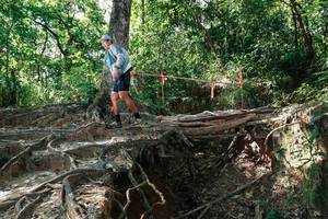 BIB: 
                            <button type="button" onclick="openModal(27799926)" class="btn btn-primary btn-sm float-right btn-popup" data-toggle="modal" data-target=".modal-high-quality">
                        <i class="fas fa-shopping-cart"></i> Add to Cart
                    </button>
                                            <button type="button" onclick="isThisMe(27799926, true)" class="btn btn-success btn-sm float-right btn-popup btn-isme hidden" data-toggle="tooltip" data-placement="bottom" title="นี่คือรูปของคุณใช่ไหม คลิกที่นี่เพื่อเอาเข้าอัลบั้ม">
                        <i class="fas fa-plus"></i> Add to album
                    </button>
                    <button type="button" onclick="isThisMe(27799926, false)" class="btn btn-warning btn-sm float-right btn-popup btn-isnotme hidden">
                        <i class="fas fa-ban"></i> Remove from album
                    </button>